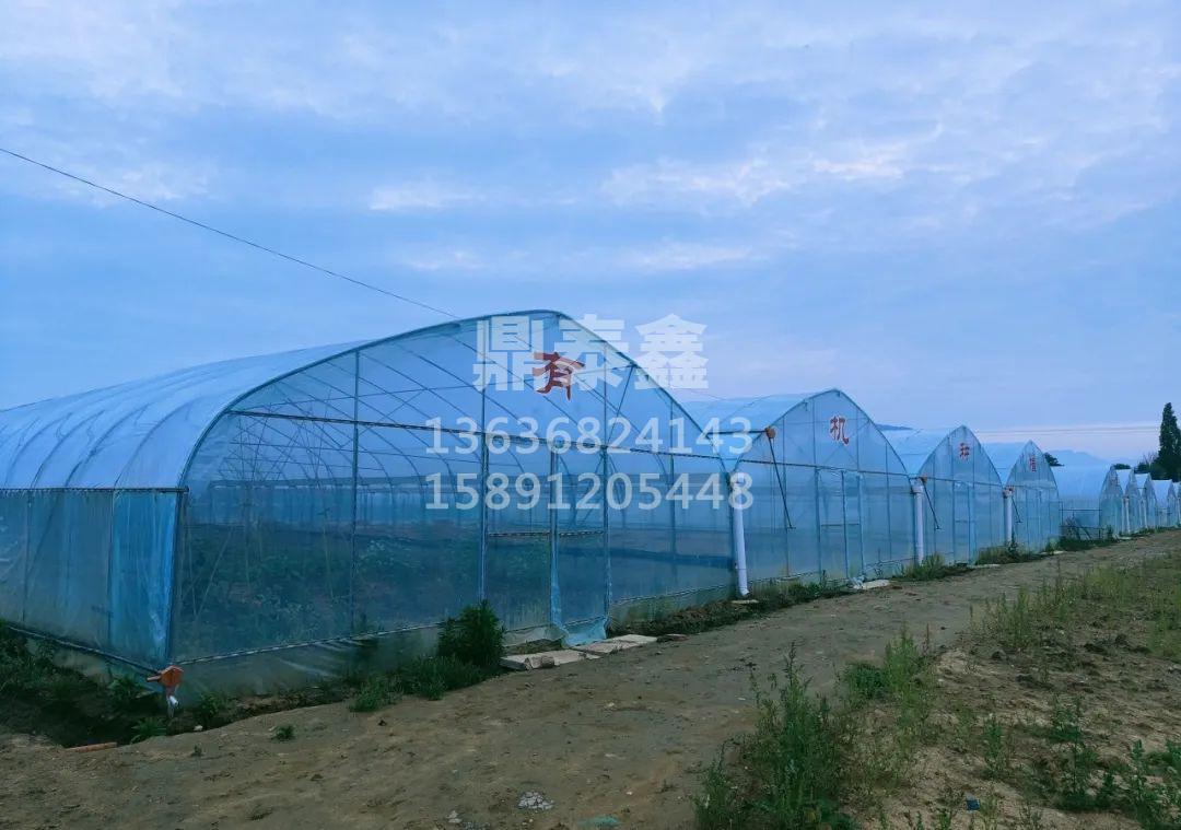 單體種植拱棚，性價(jià)比高、造價(jià)低、...